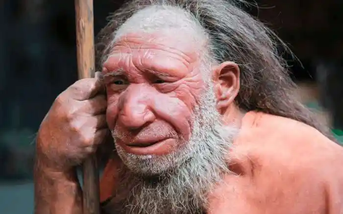 原始人,真的茹毛饮血,野蛮无情吗?