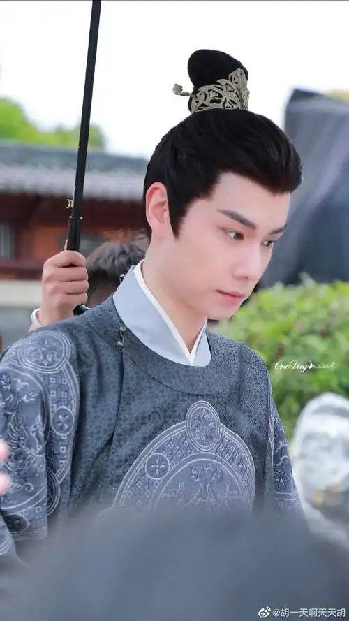 胡一天啊天天胡)惜花芷剧集预约链接网页链接电视剧《惜花芷》相关