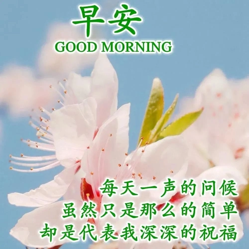 原创早安祝福朋友圈适合分享的祝福图片大全