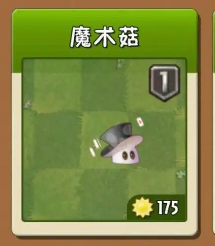 魔术菇,这也算是蘑菇家族里面一个比较神秘的家伙,毕竟人家可是一个