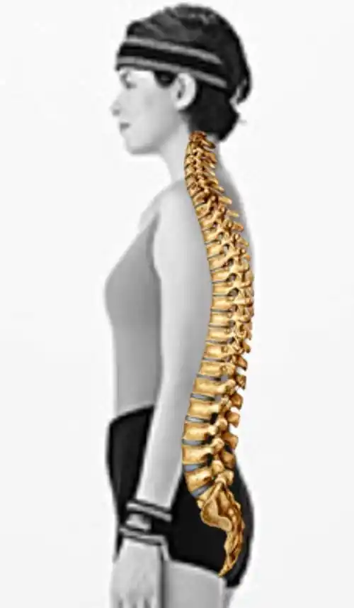 健康| 关注孩子脊柱健康,6个问题快速自测_家长_体检_干预