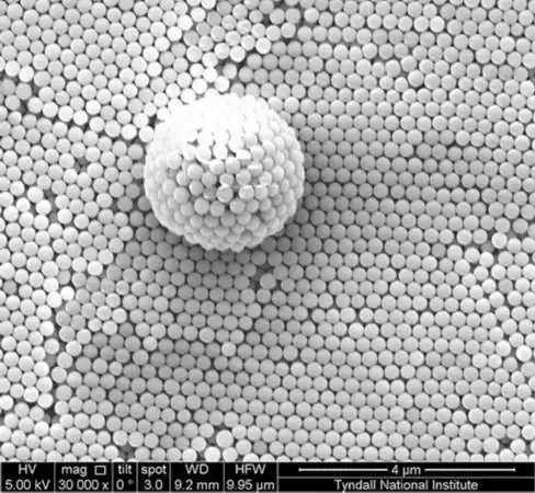显微镜下的纳米结构