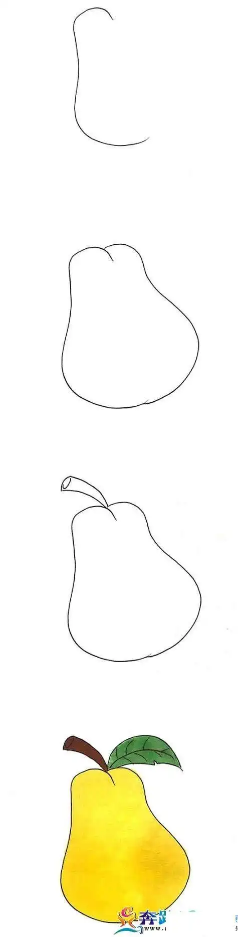 简单的参考一下我们的简笔画图片,然后我们再开始画,我们可以先画雪梨