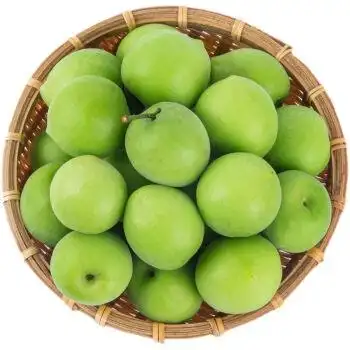 精选好果诏安青梅鲜果泡酒果酵素孕妇水果新鲜腌制生酸梅子新鲜现摘