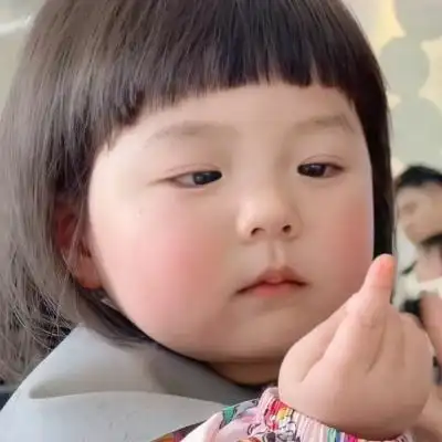 微信头像2024最新软萌呆萌猫咪可爱微信头像2024最新可爱乖巧小羊微