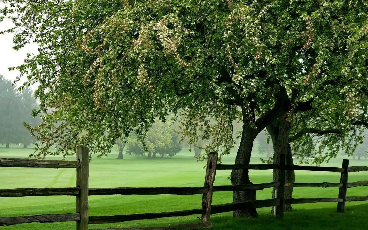 唯美高清山川风景宽屏桌面电脑壁纸