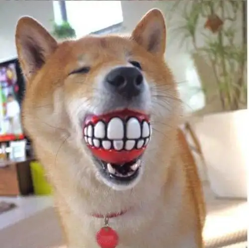 【劲爆】搞笑动物之让你笑趴下的搞笑动物图集