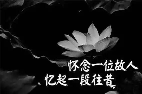 怀念刚去世的亲人图片