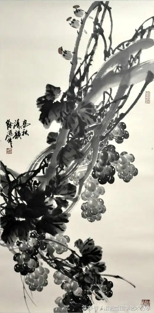 传说中的墨葡萄徐湛