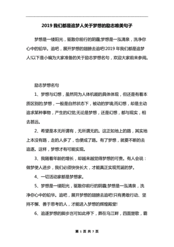 2019我们都是追梦人关于梦想的励志唯美句子.docx 7页