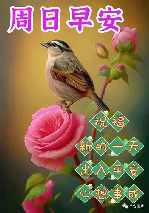 7月16日最新早上好漂亮图片祝福语|早安|快乐|清晨|幸福|一整夜_网易