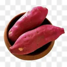 红薯图片素材_免费红薯png设计图片大全_图精灵
