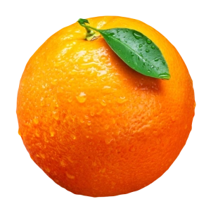 橙色香甜带水珠的水果奉节脐橙实