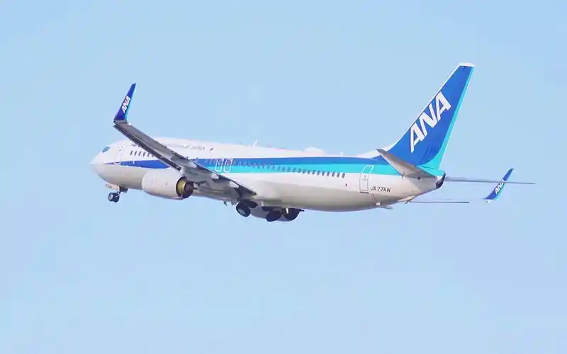 全日空之翼 ana波音737-800「一伙拍飞机的人」