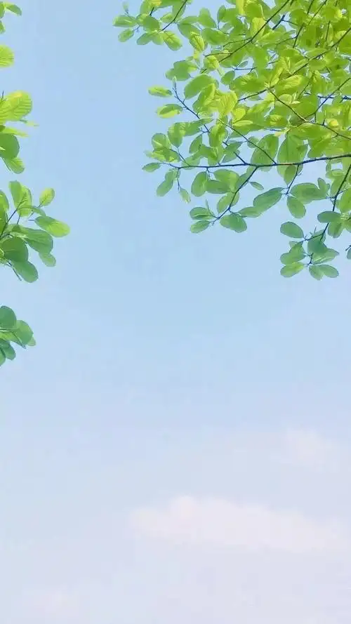 夏天到了有没有看起来很清爽干净的高清壁纸