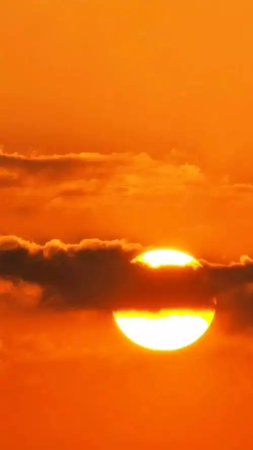 "又有谁会为了对方去搜陶白白"橙色系手机壁纸图源网络‖侵删