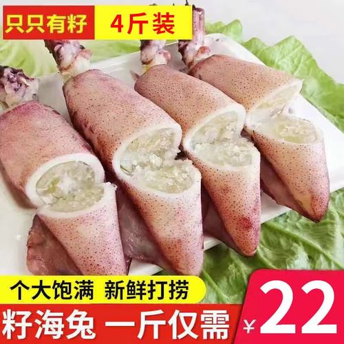 海兔鲜活冷冻小海兔子满籽全籽带籽籽乌海鲜水产墨鱼仔笔管鱼 2斤